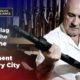 The Red Flag Law and the Rise of the Second Amendment Sanctuary City